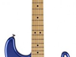 Epiphone Prophecy Les Paul Custom Plus EX